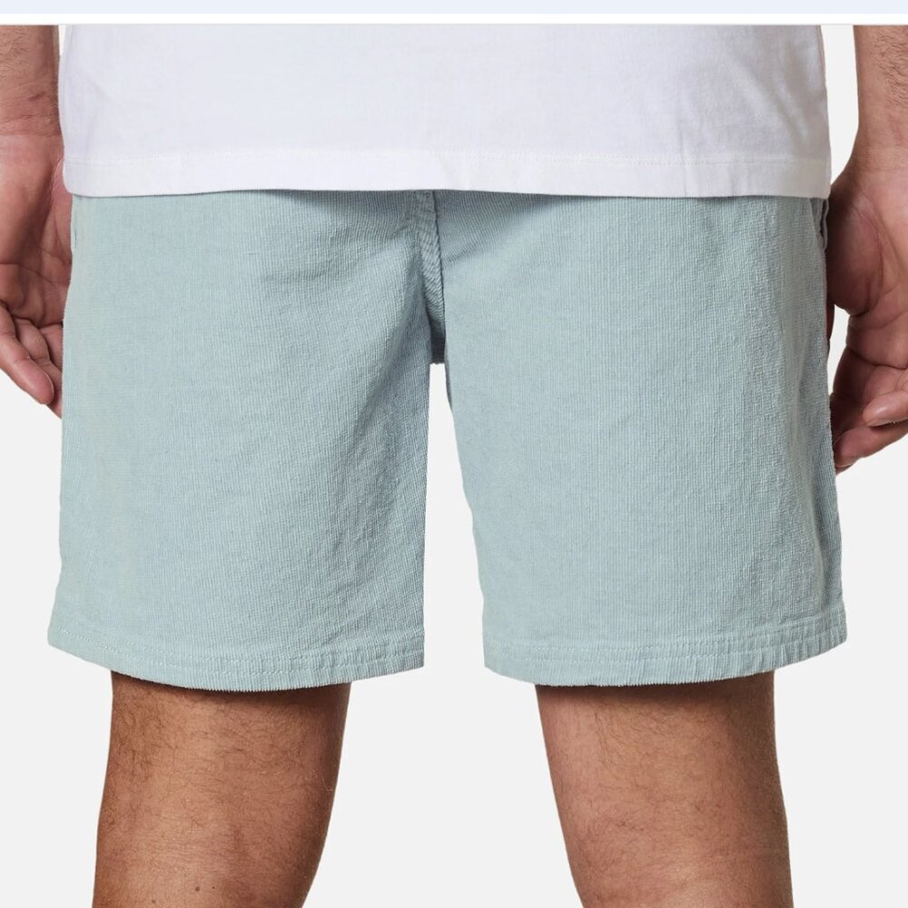 Katin Cord Local Short- Light Blue - Picture 7 of 8